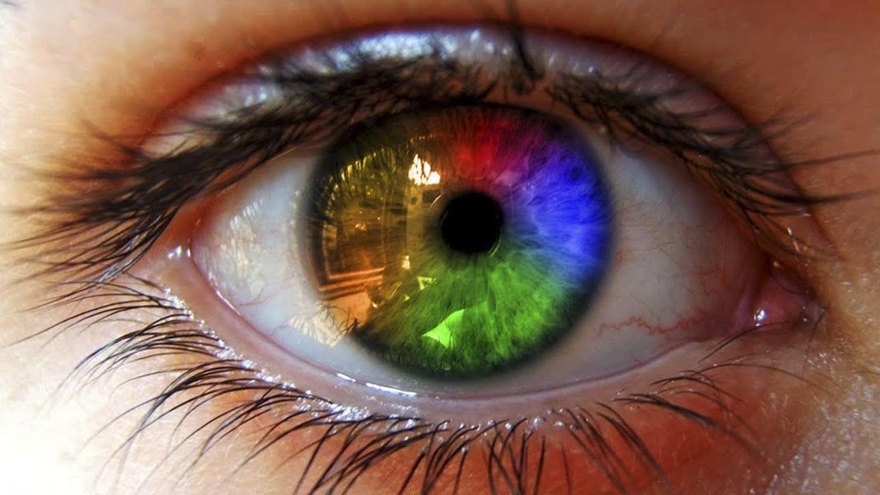 Lentes de Contato